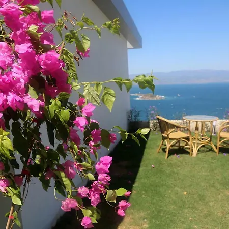 Villa Bodrum Adabuku Luks 2+1 Ozel Plaj Ve Havuzlu Bogazici